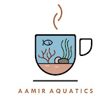 Aamir Aquatics