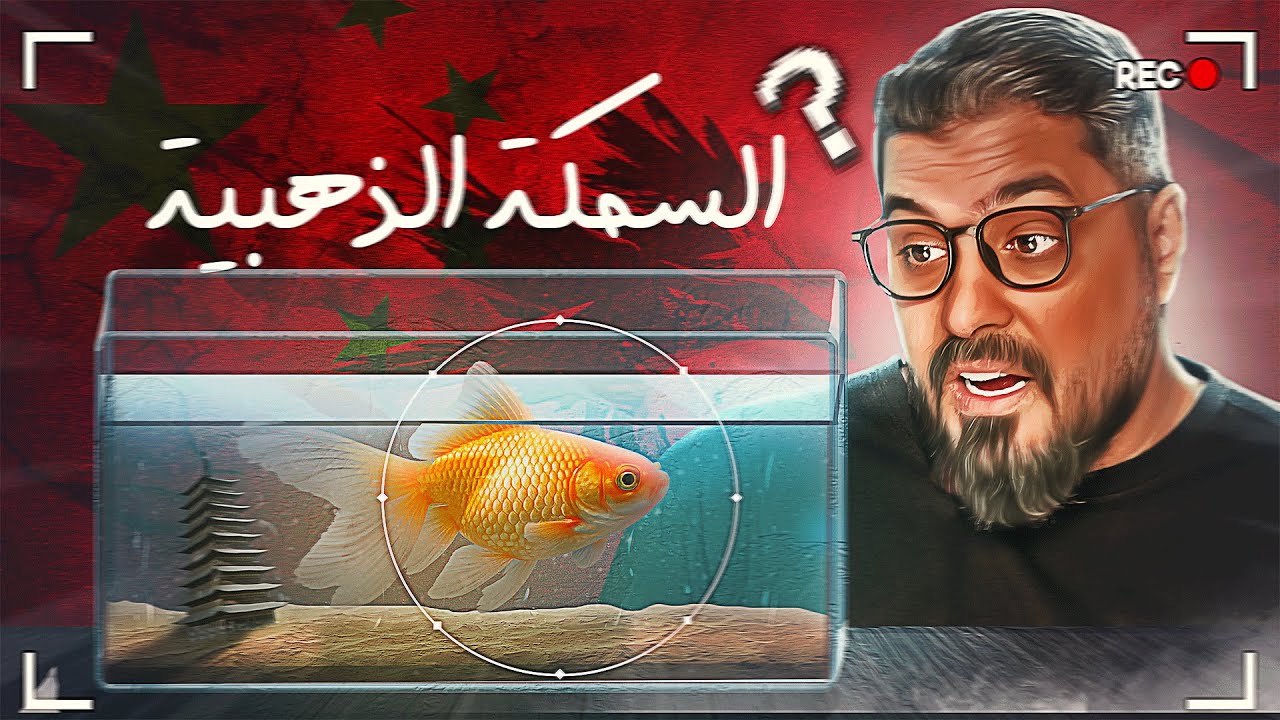 ❌ لا تربي سمكة الجولد فيش قبل مشاهدة هذا الفيديو | 90٪ بيغلطوا!