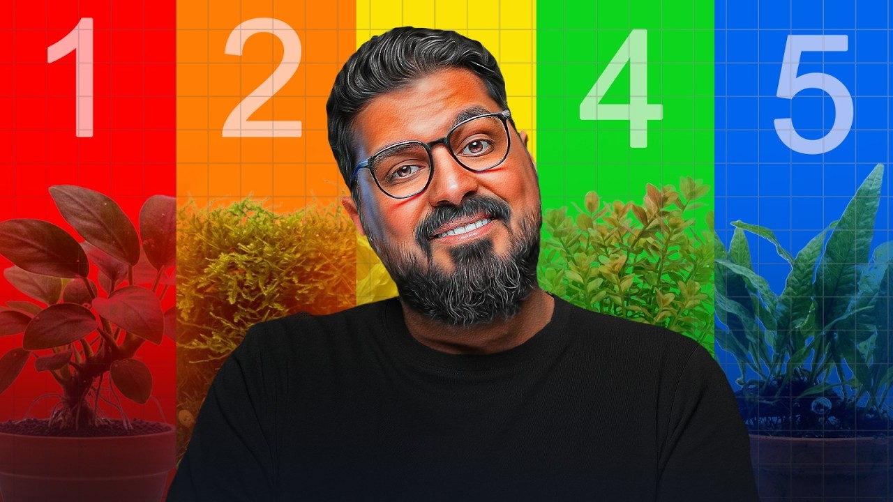 أسهل 7 نباتات لأحواض السمك للمبتدئين  (بدون CO₂ وبدون إضاءة قوية)